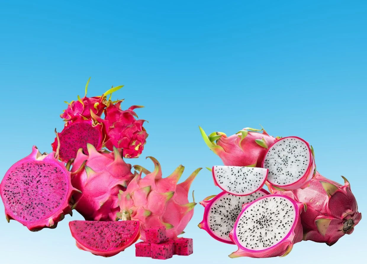 DRAGON FRUIT FROM AN OSING VILLAGE NOW SELLS IN HONG KONG 