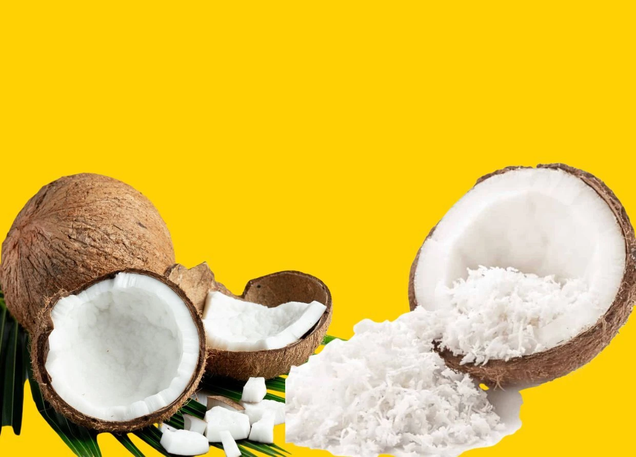 GORONTALO JUST SHIPPED 26 TONS OF SHREDDED COCONUT TO GERMANY  AND IT PASSED ONE OF THE WORLD'S STRICTEST MARKETS 