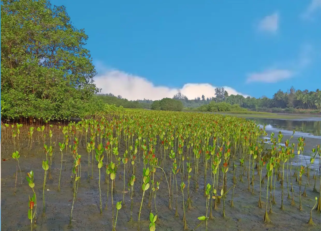 MANGROVES AND PEATLANDS: NATURE-BASED SOLUTIONS FOR CLIMATE CHANGE MITIGATION IN INDONESIA