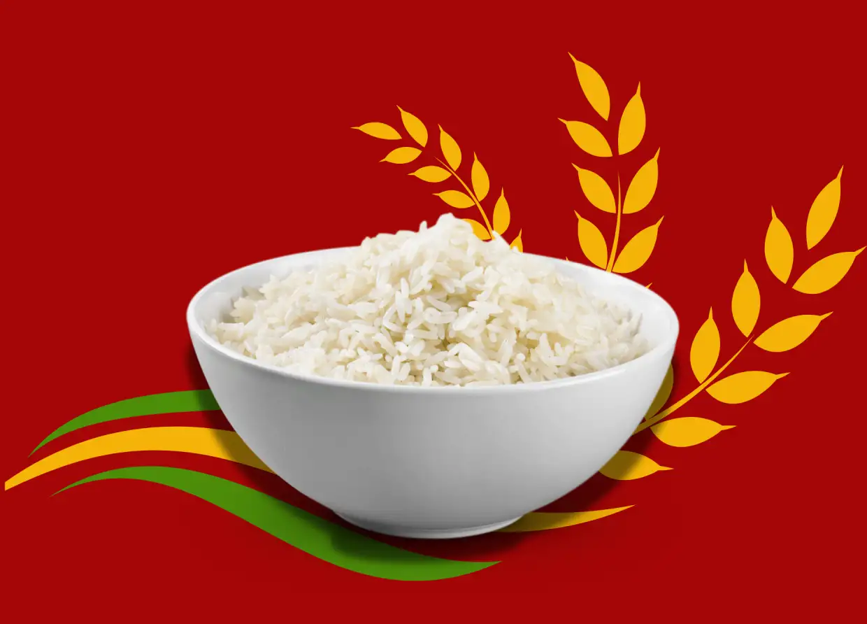 WHITE RICE: STAPLE, SUPERFOOD, OR OVERRATED? THE TRUTH ABOUT JAPAN’S FAVORITE GRAIN