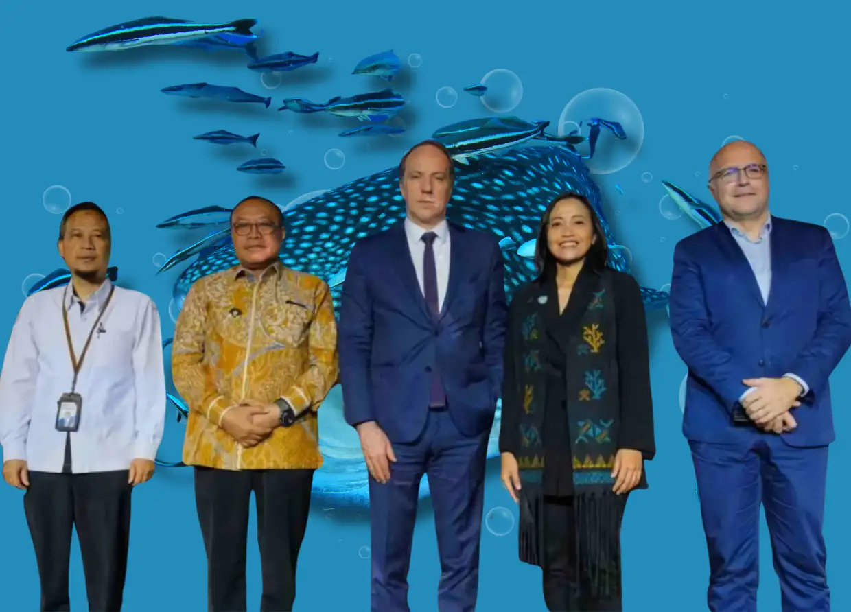 FRENCH EMBASSY GRANTS 500,000 EUROS TO SUPPORT WHALE SHARK CONSERVATION AREA IN SUMBAWA