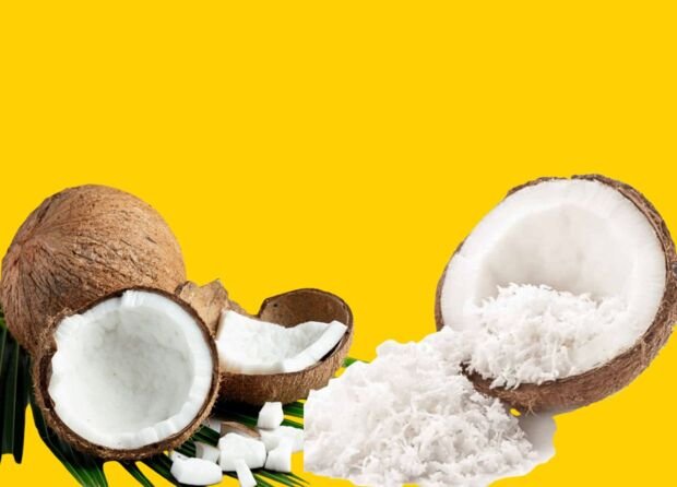 GORONTALO JUST SHIPPED 26 TONS OF SHREDDED COCONUT TO GERMANY  AND IT PASSED ONE OF THE WORLD'S STRICTEST MARKETS 