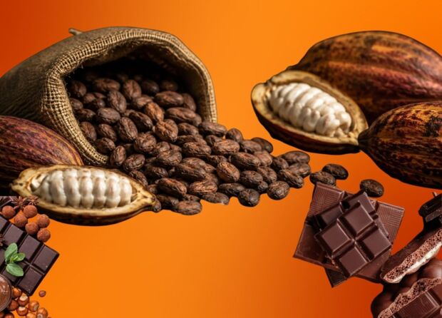 INDONESIA IS THE ONLY COUNTRY IN ASIA PRODUCING CACAO AT COMMERCIAL SCALE SO WHY DOESN'T ANYONE KNOW?