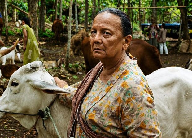 IBUKU FILM WINS SPECIAL JURY AWARD AT BUSAN FESTIVAL 