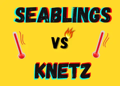 SEABLINGS VS KNETZ: DIGITAL CONFLICT INVOLVING CROSS-BORDER NETIZENS
