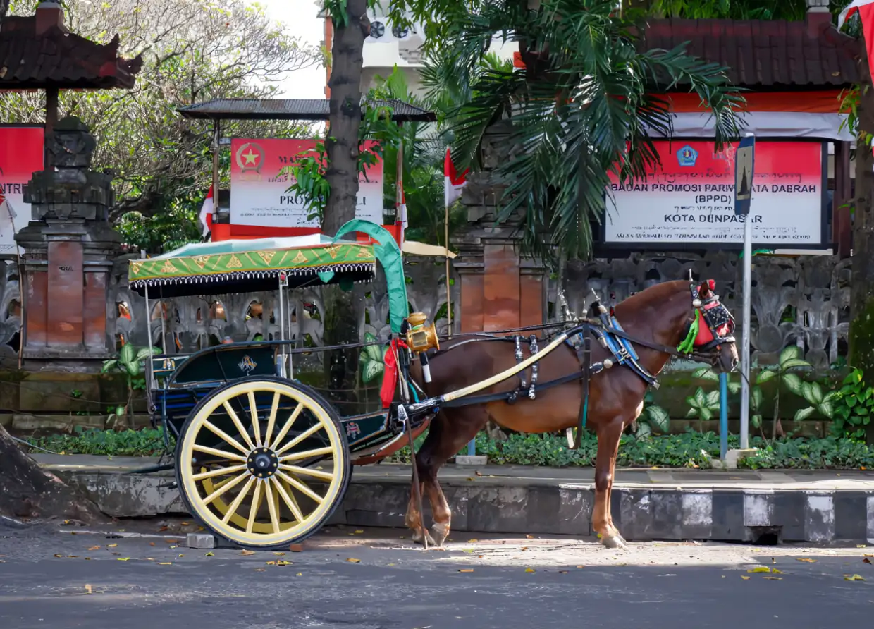 PRESERVING TRADITION: DENPASAR INTRODUCES FREE HORSE-DRAWN CARRIAGE TOURS